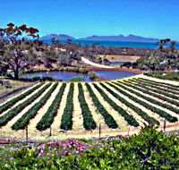 Kate's Berry Farm - Darwin Holiday