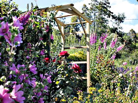 Thelma Retreat Garden And Teahouse - Darwin Holiday 0