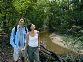 Mooloolah River National Park, Jowarra Section - Darwin Holiday 0