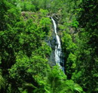 Kondalilla National Park - Darwin Holiday