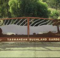 Tasmanian Bushland Garden - Darwin Holiday