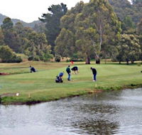 Penguin Golf Course - Darwin Holiday