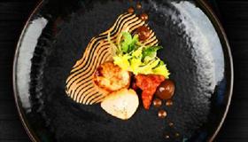 Sage - Darwin Holiday 0