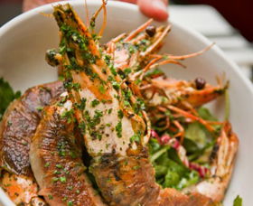 Bicicletta - Darwin Holiday 0