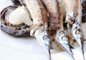 Pulp Kitchen - Darwin Holiday 0