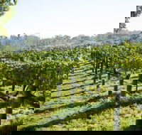 Surveyor's Hill Vineyards - Darwin Holiday
