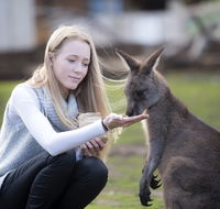 Bonorong Wildlife Sanctuary - Darwin Holiday