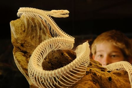 Araluen Cultural Precinct - Darwin Holiday 4