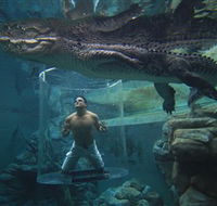 Crocosaurus Cove - Darwin Holiday
