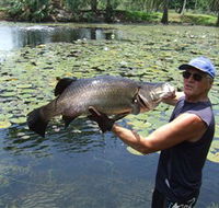 Barra Feeding - Darwin Holiday