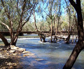 Low Level Nature Reserve - Darwin Holiday 0