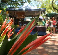 Nightcliff Markets - Darwin Holiday