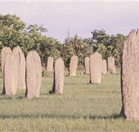 Magnetic Termite Mounds - Darwin Holiday