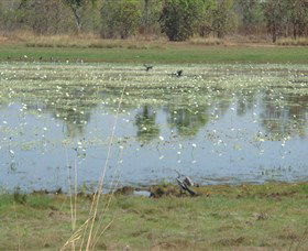 Leaning Tree Lagoon Nature Park - Darwin Holiday 0