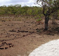 Wurrwurrwuy Garanhan Macassan Beach Interpretive Walk - Darwin Holiday