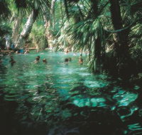 Mataranka Thermal Pool - Darwin Holiday