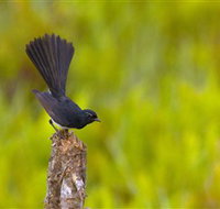 Holmes Jungle Nature Park - Darwin Holiday
