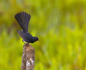 Holmes Jungle Nature Park - Darwin Holiday 0