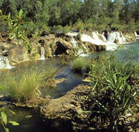 Flora River Nature Park - Darwin Holiday