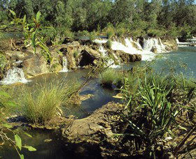 Flora River Nature Park - Darwin Holiday 0