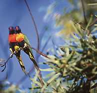 Wangi Falls Walk - Darwin Holiday