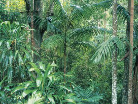 Westside Track, Maiala - Darwin Holiday 0