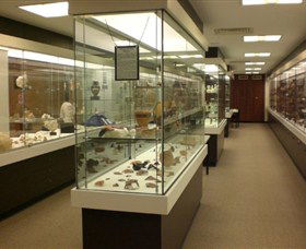UQ Antiquities Museum - Darwin Holiday 0