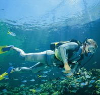 Kirra Reef Dive Site - Darwin Holiday
