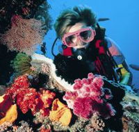 Cook Island Dive Site - Darwin Holiday