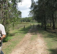 Coombabah Lakes Conservation Area - Darwin Holiday