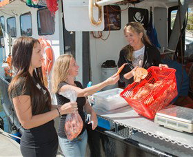 Gold Coast Fishermens Co-operative Limited - Darwin Holiday 0