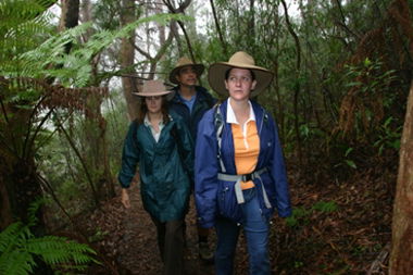 Mount Cougal, Springbrook National Park - Darwin Holiday 0