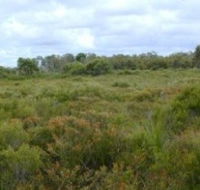Pine Ridge Conservation Park - Darwin Holiday