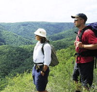 Sunshine Coast Hinterland Great Walk - Darwin Holiday
