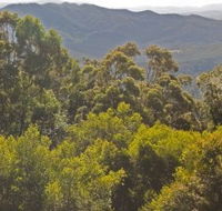 Conondale National Park - Darwin Holiday