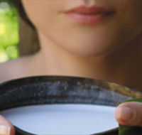 Ikatan Day Spa - Darwin Holiday
