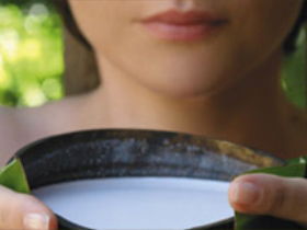 Ikatan Day Spa - Darwin Holiday 0