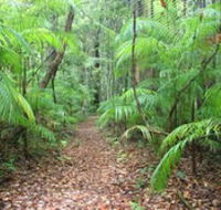 Delicia Road Conservation Park - Darwin Holiday