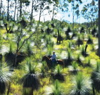 Bicentennial National Trail - Section 5 - Darwin Holiday