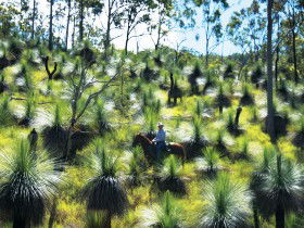 Bicentennial National Trail - Section 5 - Darwin Holiday 0