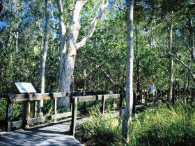 Kinaba Track - Darwin Holiday 0