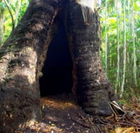 Tewantin National Park - Darwin Holiday