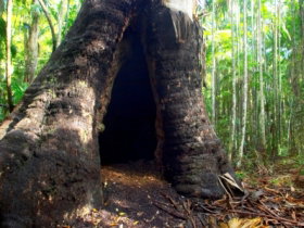 Tewantin National Park - Darwin Holiday 0