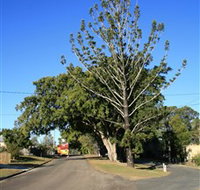 Anzac Avenue Memorial Trees Beerburrum - Darwin Holiday