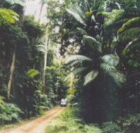Conondale Great Walk - Darwin Holiday