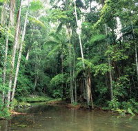 Mount Allan Trail - Darwin Holiday