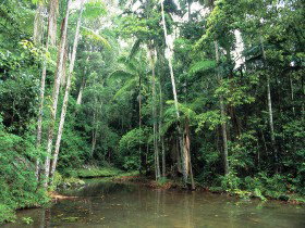 Mount Allan Trail - Darwin Holiday 0