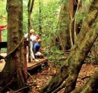 Mary Cairncross Scenic Reserve - Darwin Holiday