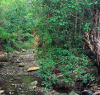 Mudlo National Park - Darwin Holiday