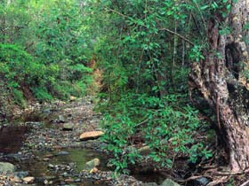 Mudlo National Park - Darwin Holiday 0